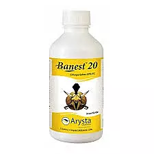 BANEST 20