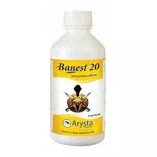 BANEST 20