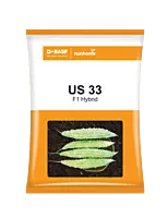 BASF Nunhems Bitter Gourd US 33 Seeds - 250 nos