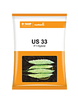 BASF Nunhems Bitter Gourd US 33 Seeds - 250 nos