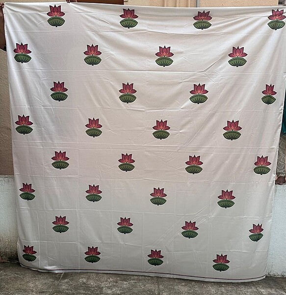 Backdrop Cloth 2