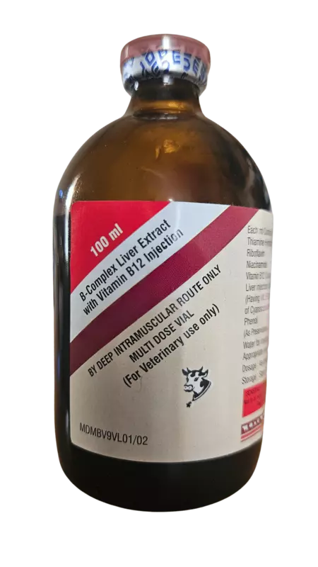 B-COMPLEX with LIVER EXTRACT 100 ml Inj