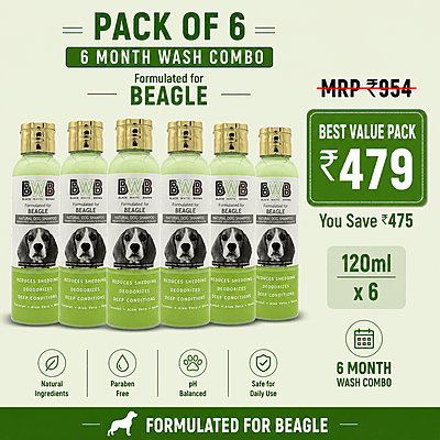 BWB BEAGLE SHAMPOO-120ML