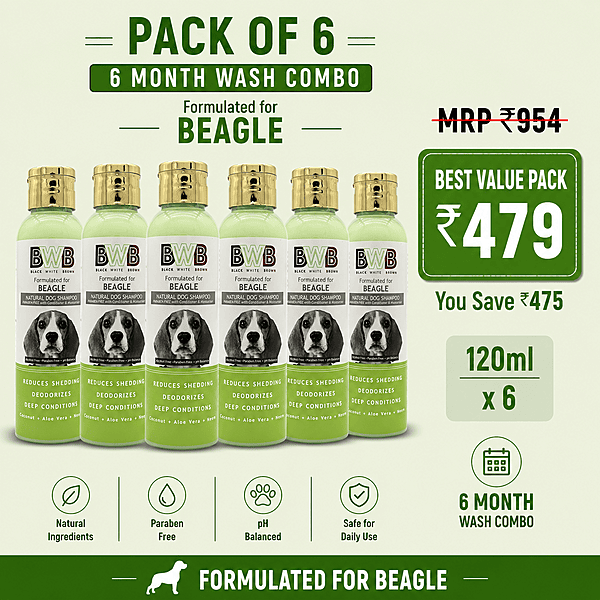BWB BEAGLE SHAMPOO-120ML