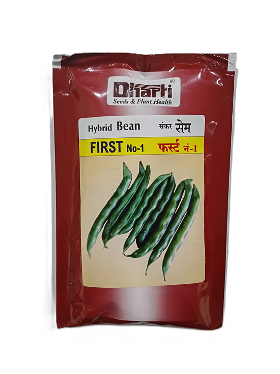 Beans First by Dharti Seeds