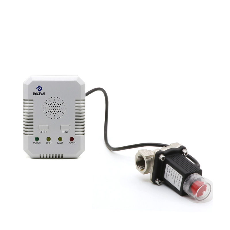 BH-H3 Gas Domestic Alarm