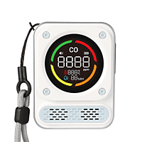 BH-X01 Carbon Monoxide Detector