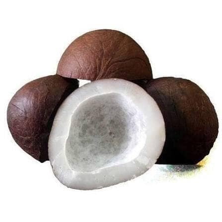 BLACK KOPRA 2PC