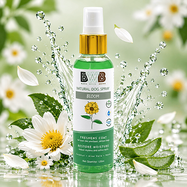 BWB BLOOM_DEOSPRAY
