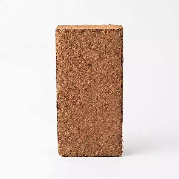 Coir Brick 650g – Low EC Compressed Coco Peat Block (Pack of 2)