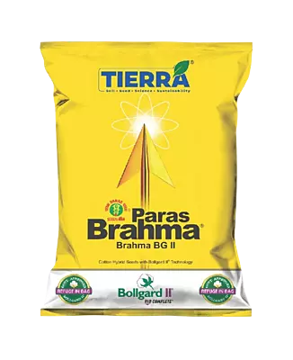 Cotton Bramha BG II Seeds by Tierra