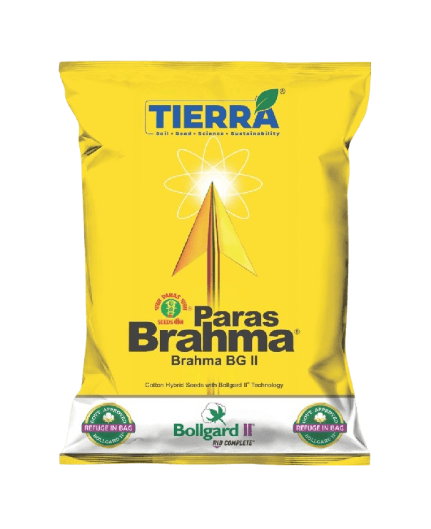 Cotton Bramha BG II Seeds by Tierra