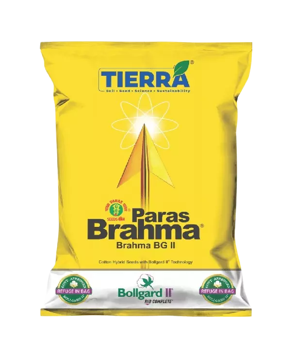 Cotton Bramha BG II Seeds by Tierra