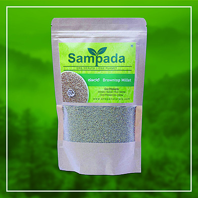 Organic Browntop Millet