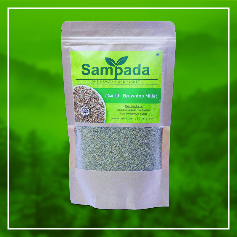 Organic Browntop Millet