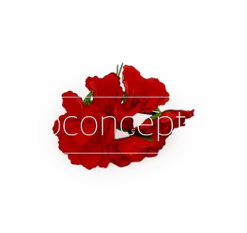 Flowers on stick - Red
