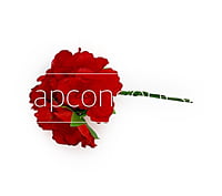 Flowers on stick - Red