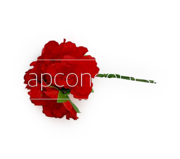 Flowers on stick - Red