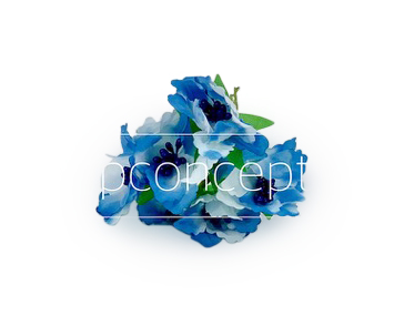 Flowers on stick - Blue & White