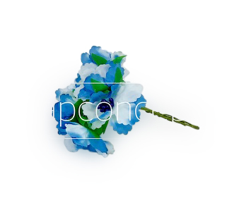 Flowers on stick - Blue & White