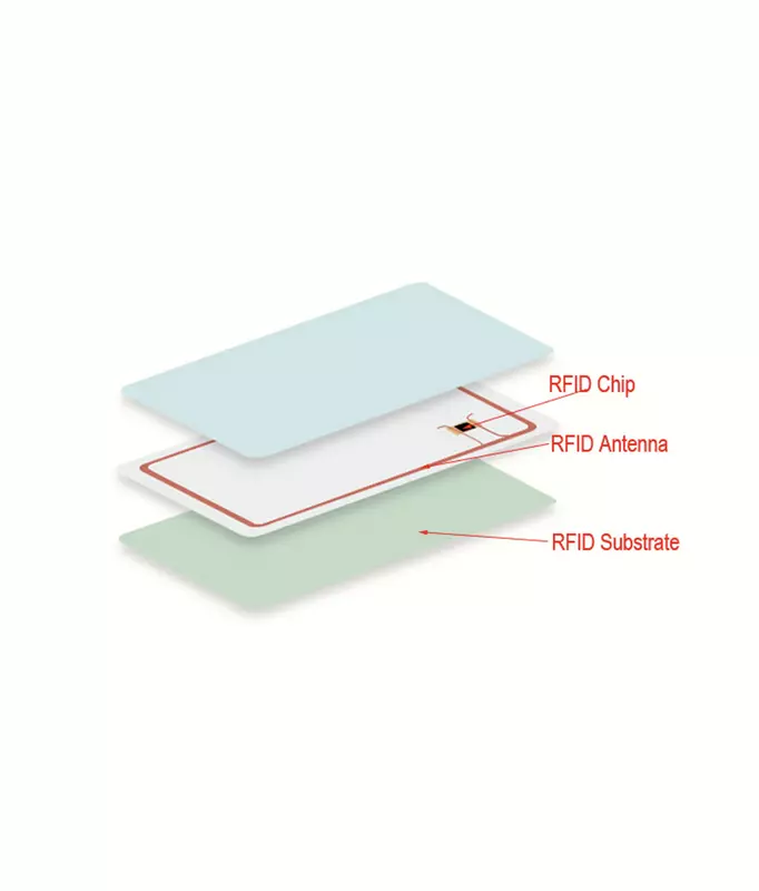 BSG ID Card-Individual Members