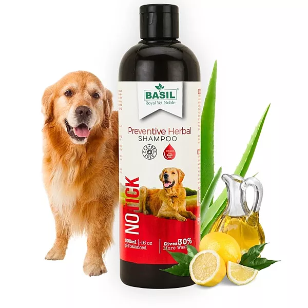 Basil Preventive Herbal No Tick Dog Shampoo