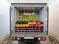 Cold Chain Dispatch & Reefer Vehicle Coordination