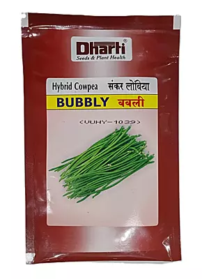 Cowpea Bubbly Seeds by Dharti Seeds