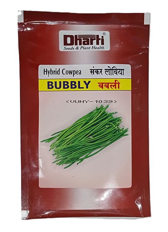 Cowpea Bubbly Seeds by Dharti Seeds