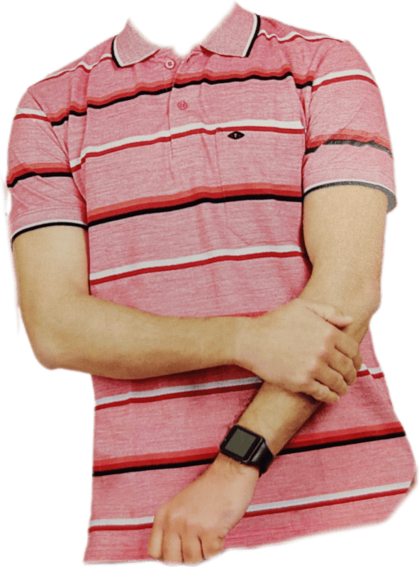 Polo Stripes Tshirt