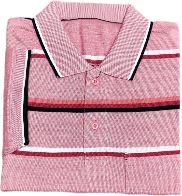 Polo Stripes Tshirt