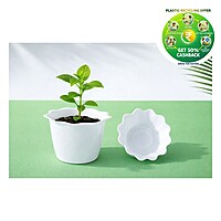 Plastic Baby Pot | 3 Inch | Multi Color | Indoor Round Pot