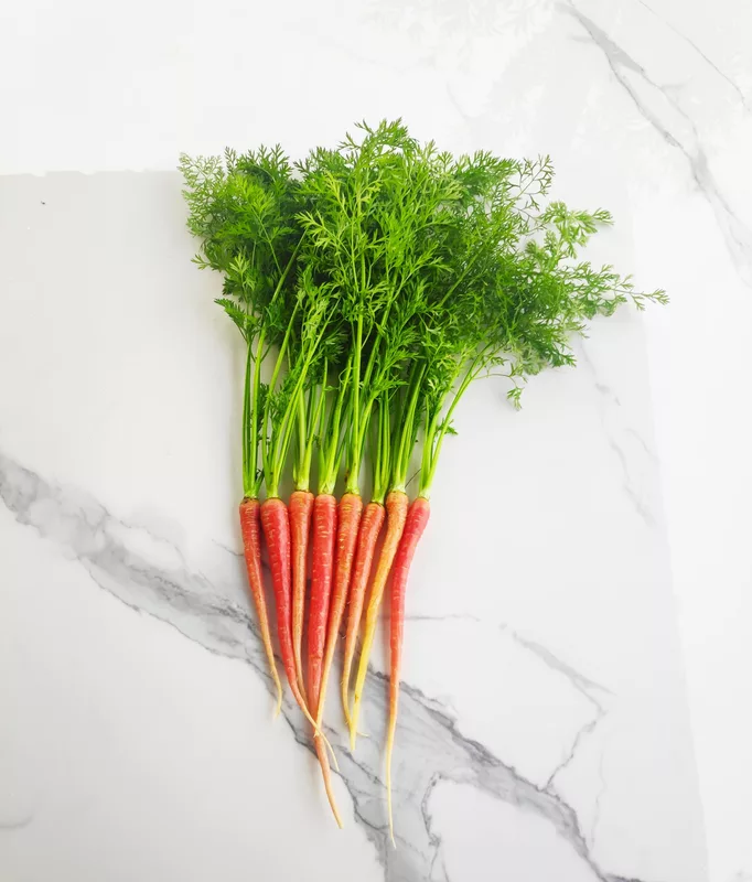 Carrots 500 Gms