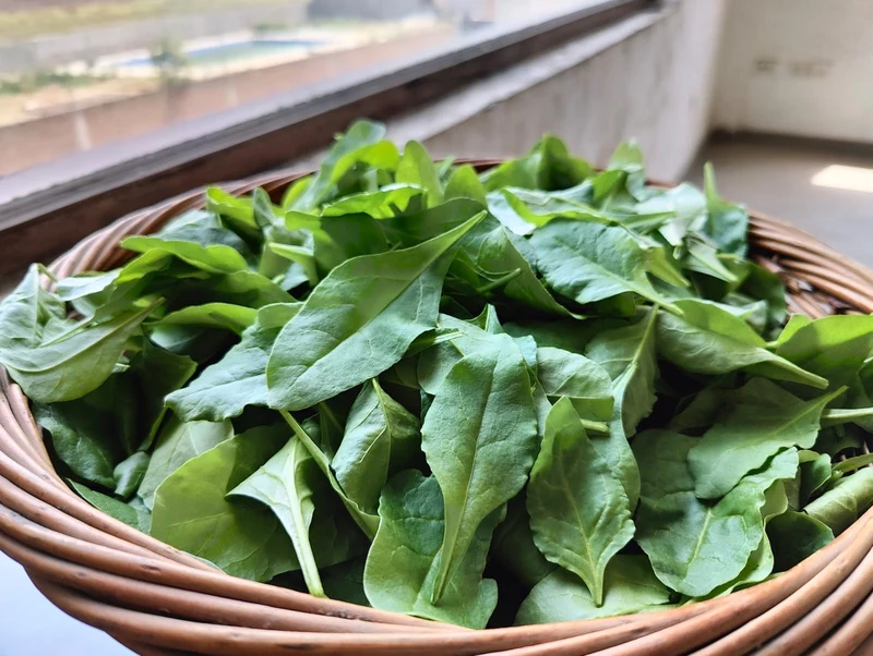 Hydroponic Baby Spinach 250gms