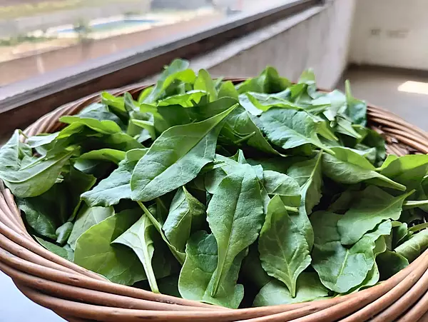 Baby Spinach 250gms - IDRO Fresh