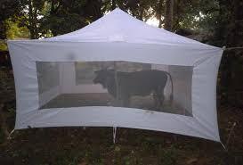 Cow or Cattle - Baited Tent CBT LI-MR-111