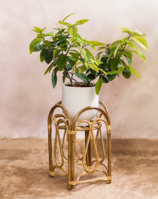Handmade Cane Plant Stand for Indoor Plants