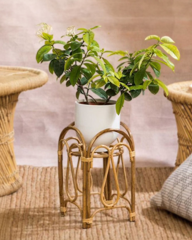 Handmade Cane Plant Stand for Indoor Plants