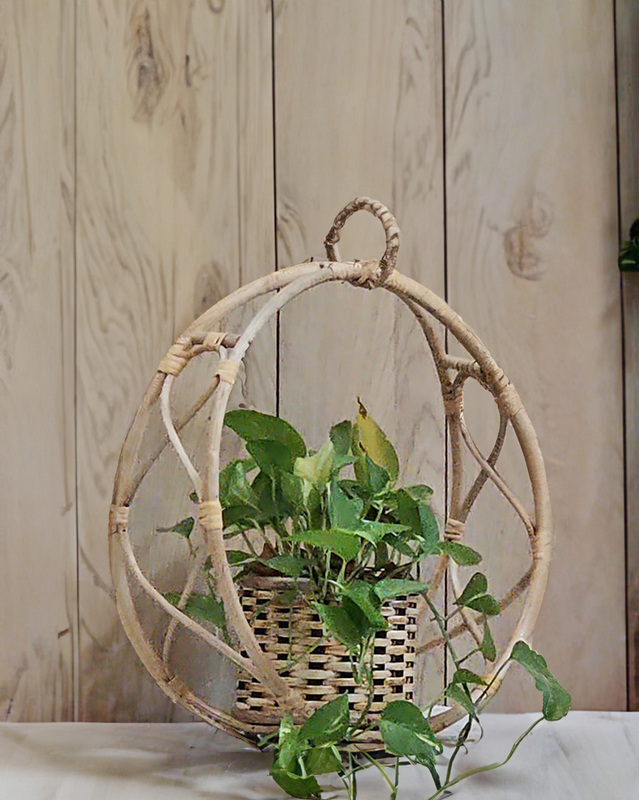 Handmade Cane Hanging Planter with Natural Design