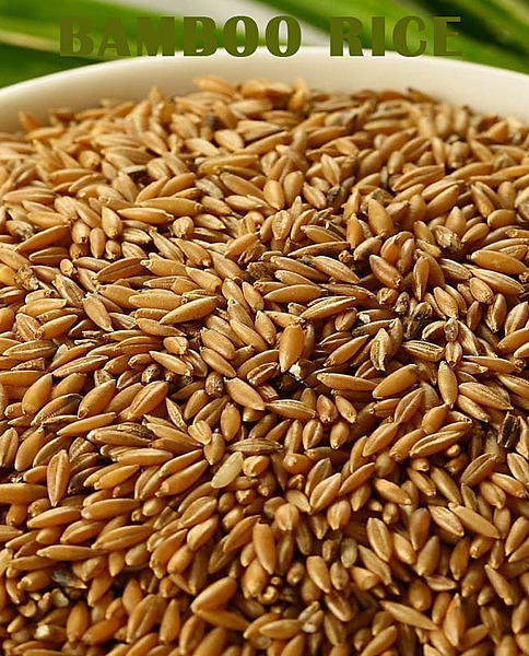 Bamboo Rice/Mungil Rice