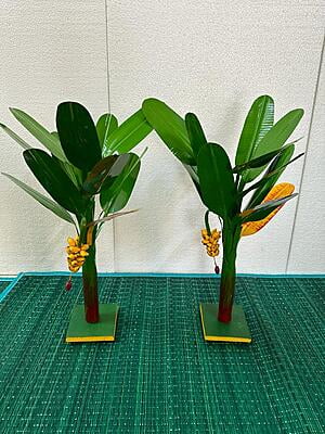 Banana Tree - 20 inch
