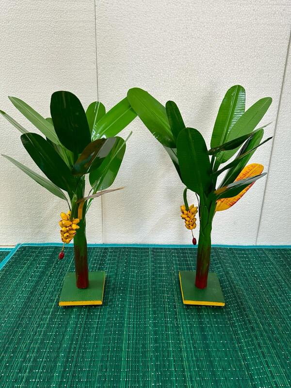 Banana Tree - 20 inch