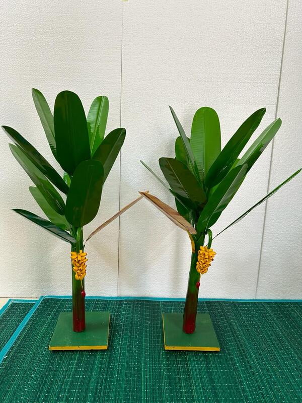 Banana Tree - 28 inch
