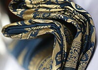 Rainandini Morneela Banarasi Saree with BP