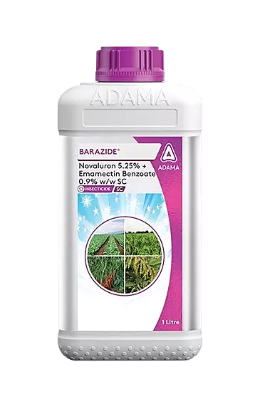 BARAZIDE by Adama