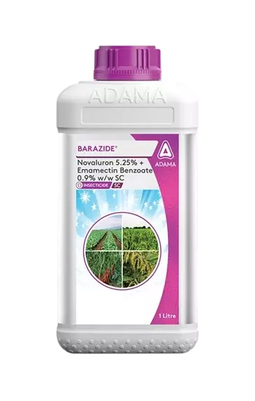 BARAZIDE by Adama