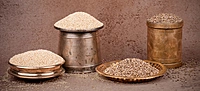 Barnyard Millet