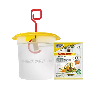 Barrix Catch Fruit Fly Lure + Trap