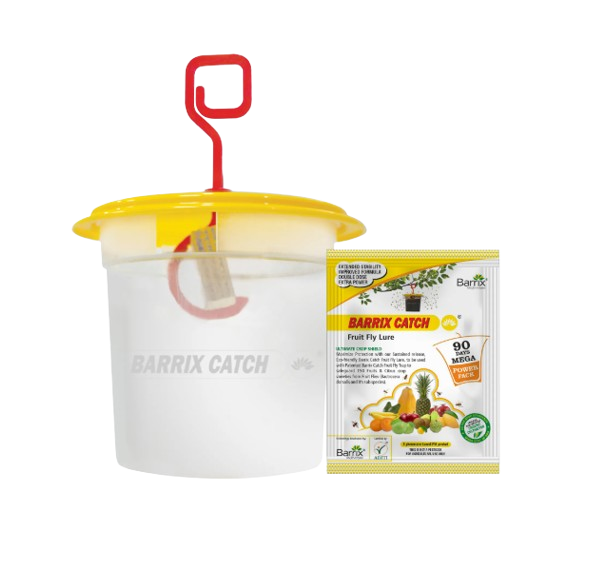 Barrix Catch Fruit Fly Lure + Trap