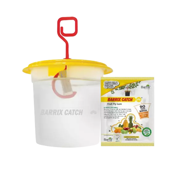 Barrix Catch Fruit Fly Lure + Trap